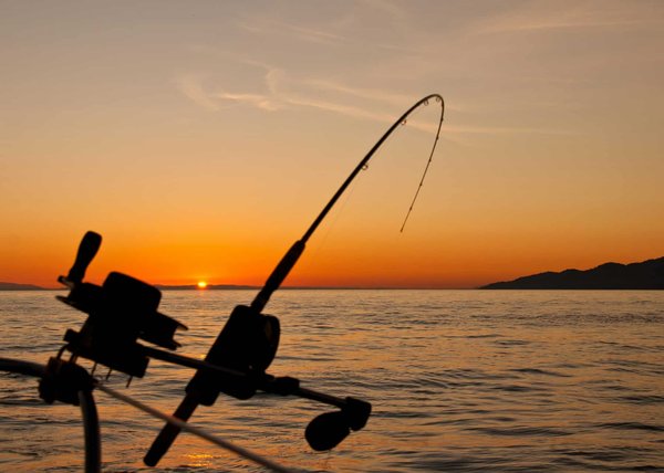 Comment vivre une expérience de pêche traditionnelle avec les Sami en Laponie norvégienne ?
