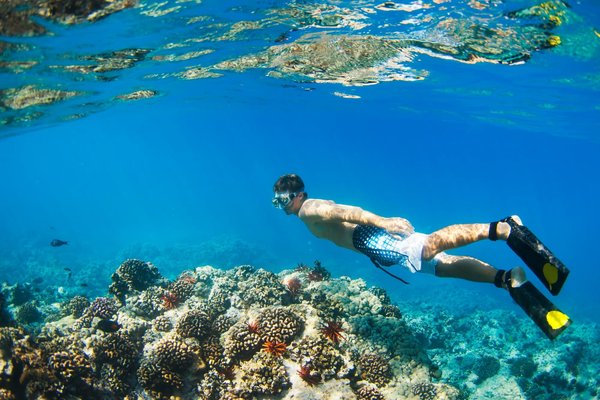 Quelles sont les meilleures îles pour une expérience de snorkelling dans les eaux cristallines des Philippines ?